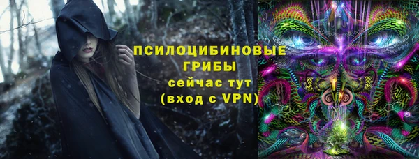дживик Арсеньев