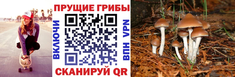 Псилоцибиновые грибы MAGIC MUSHROOMS  купить наркотики сайты  Скопин 